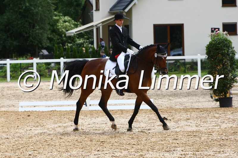 006M4743_Dressur L.JPG